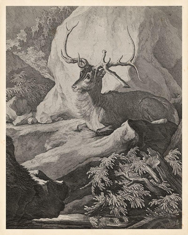 Picture of WOODLAND DEER VIII