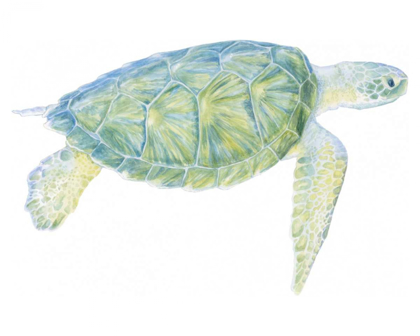Picture of TRANQUIL SEA TURTLE I