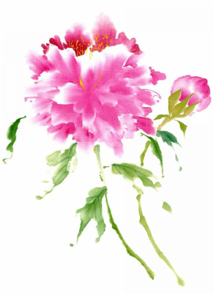 Picture of PEONIES IN PINK I