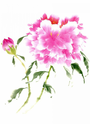 Picture of PEONIES IN PINK II