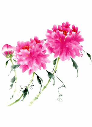 Picture of PEONIES IN PINK III