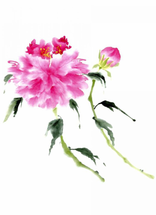 Picture of PEONIES IN PINK IV