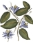 Picture of LAVENDER FLORAL III
