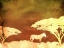 Picture of SAFARI SUNRISE III