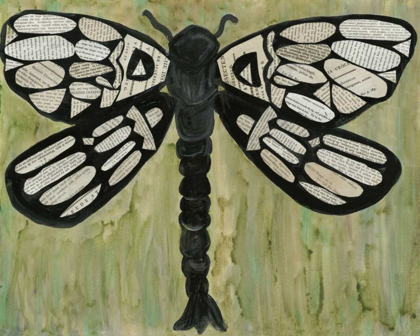 Picture of DRAGONFLY TEXT