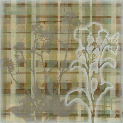 Picture of TARTAN FLORAL II