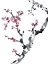 Picture of PLUM BLOSSOM BRANCH II