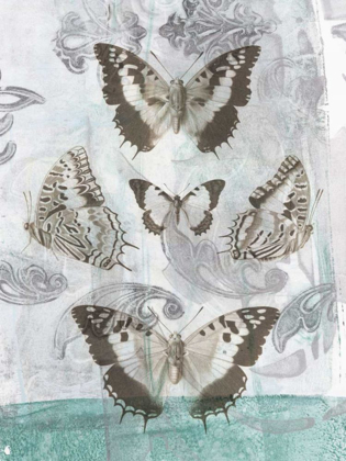 Picture of BUTTERFLIES AND FILIGREE II