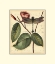 Picture of PETITE DRAGONFLIES IV