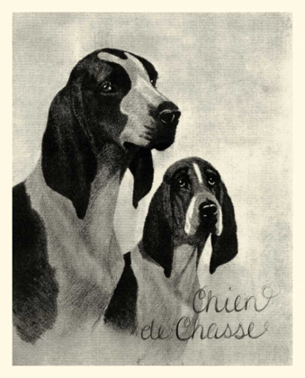 Picture of B AND W CHIEN DE CHASSE