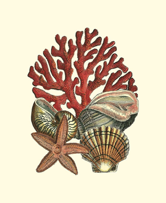 Picture of CORAL MEDLEY I