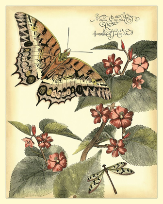 Picture of WHIMSICAL BUTTERFLIES II