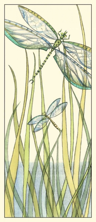 Picture of GOSSAMER DRAGONFLIES II
