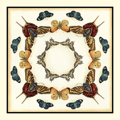 Picture of BUTTERFLY COLLECTOR I