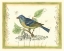 Picture of BIRD AND WILDFLOWERS I