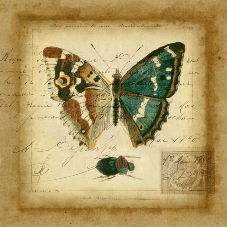 Picture of POSTSCRIPT BUTTERFLY II