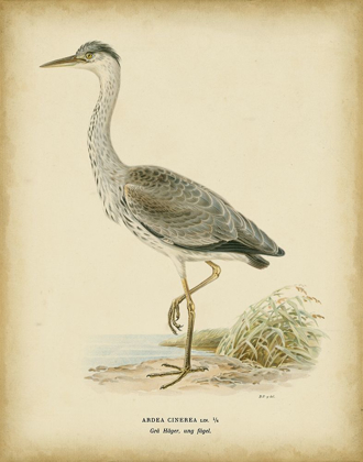 Picture of NON-EMBELLISHED VINTAGE HERON II