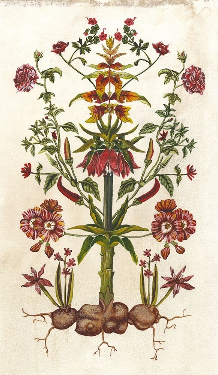 Picture of BOTANICAL HYBRID I