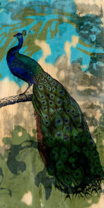 Picture of RUSTIC PEACOCK II