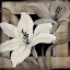 Picture of DRAMATIC LILY GRID I