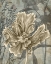 Picture of TULIP AND WILDFLOWERS II