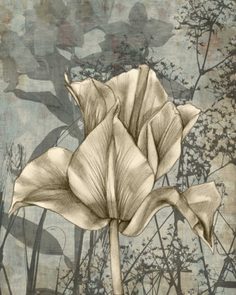 Picture of TULIP AND WILDFLOWERS IV