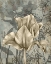 Picture of TULIP AND WILDFLOWERS IV