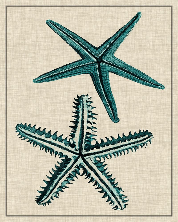 Picture of COASTAL STARFISH I