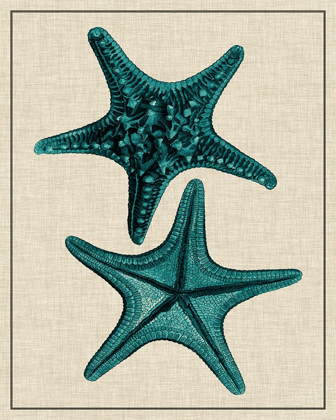 Picture of COASTAL STARFISH II