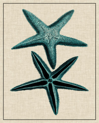 Picture of COASTAL STARFISH III