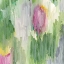 Picture of PROMISE IV