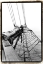 Picture of SET SAIL IV
