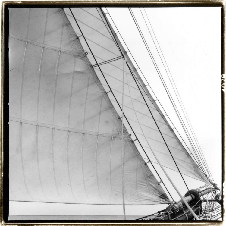 Picture of UNDER SAIL I