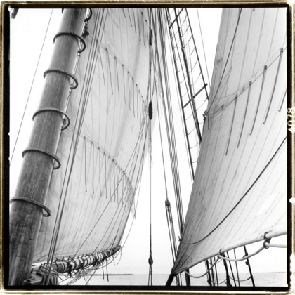Picture of UNDER SAIL II