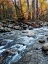 Picture of PORTERS CREEK I