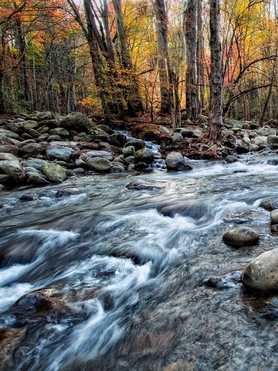 Picture of PORTERS CREEK I