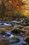 Picture of AUTUMN ON LITTLE RIVER