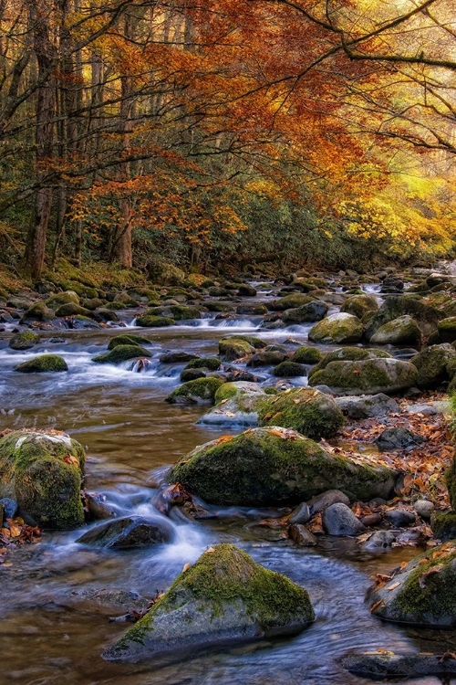 Picture of AUTUMN ON LITTLE RIVER