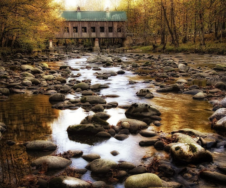 Picture of BRIDGE OVER ROCKY WATERS