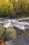 Picture of ROARING WATERS I