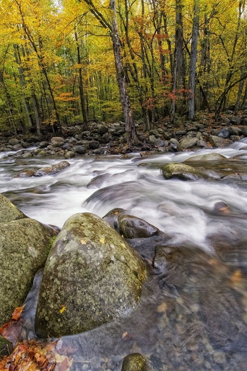 Picture of ROARING WATERS I