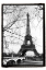 Picture of EIFFEL TOWER ALONG THE SEINE RIVER