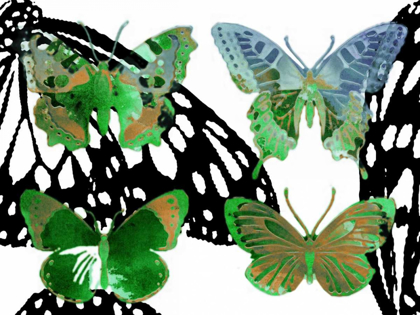 Picture of LAYERED BUTTERFLIES V