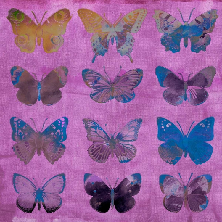 Picture of BUTTERFLIES ON MAGENTA