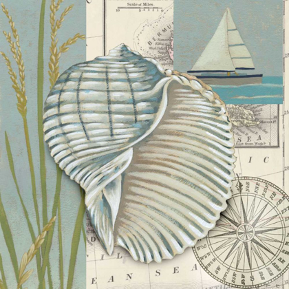 Picture of SEASIDE SHELL I