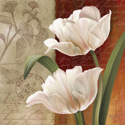 Picture of FRENCH TULIP COLLAGE I