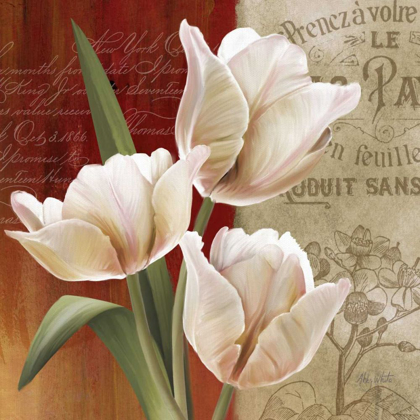 Picture of FRENCH TULIP COLLAGE II