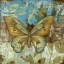 Picture of RUSTIC BUTTERFLY I