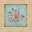 Picture of SHELL AND DAMASK II