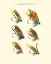 Picture of SALMON FLIES II